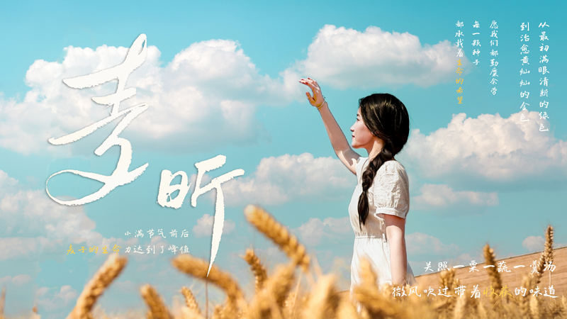 国赛佳音！2025年度郑美学子在多项国家级设计大赛中斩获佳绩