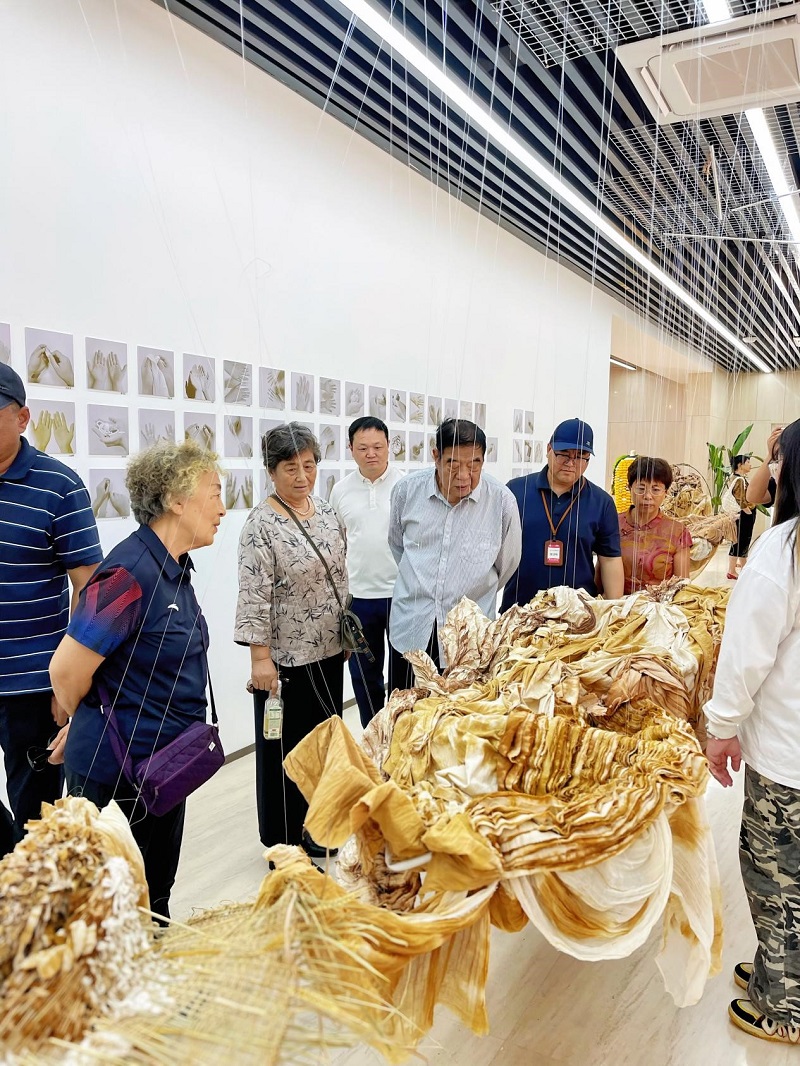 郑州美术学院2026届毕业作品展重磅启幕 郑州美术学院2026届毕业作品展重磅启幕