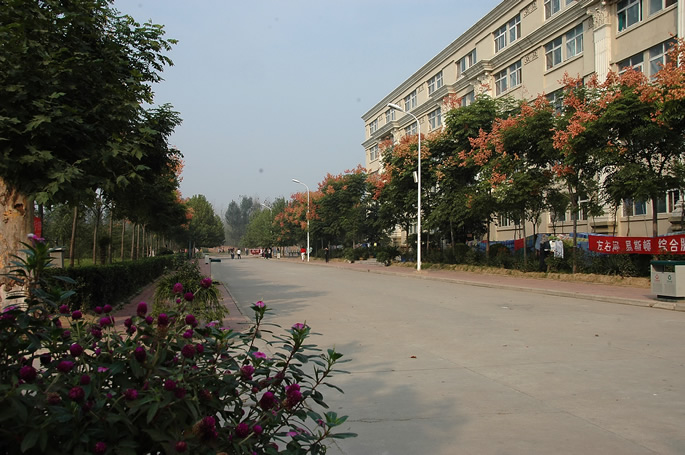 迎春植树,绿化校园 迎春植树,绿化校园