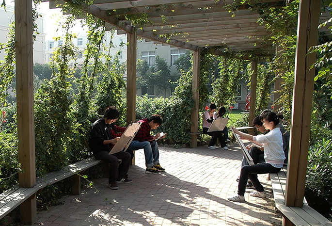 迎春植树,绿化校园 迎春植树,绿化校园